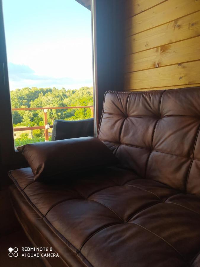 Casa Das Vinhas Velhas By Casa Do Poco Peso da Régua Kültér fotó