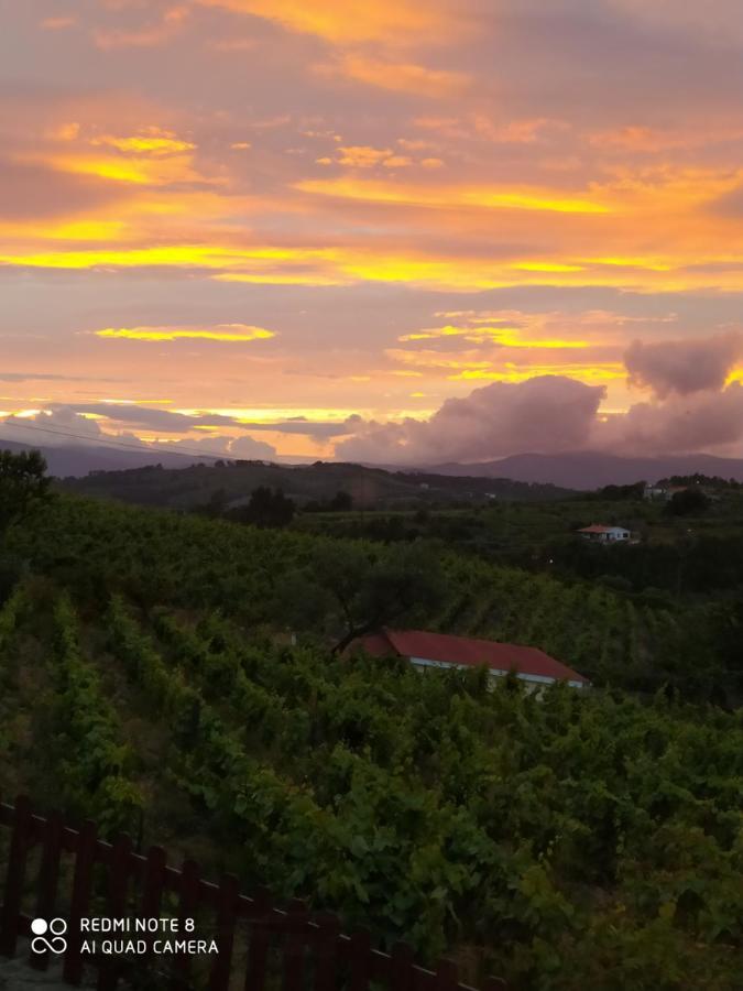 Casa Das Vinhas Velhas By Casa Do Poco Peso da Régua Kültér fotó