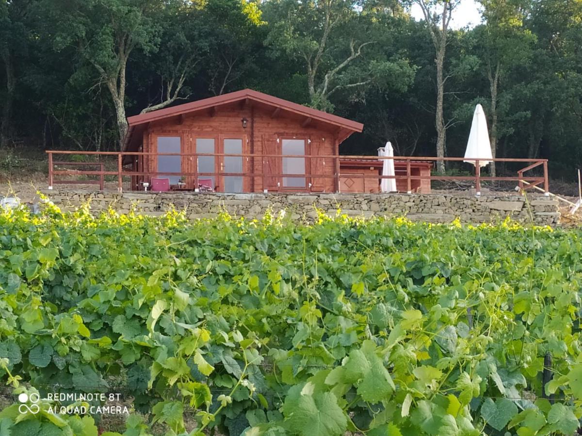 Casa Das Vinhas Velhas By Casa Do Poco Peso da Régua Kültér fotó